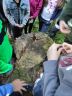 Zajačiky v Lesnej škole